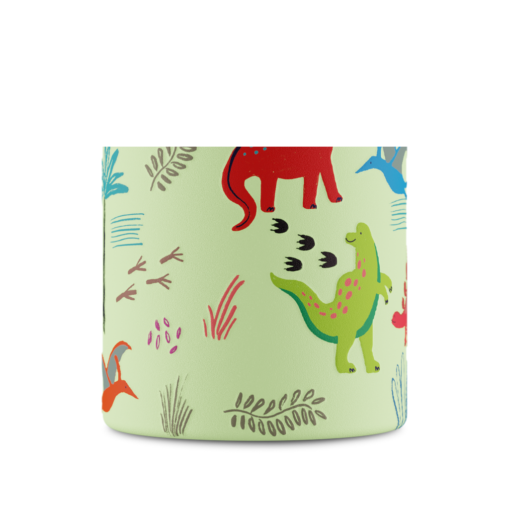 Kids Insulated Bottle | Jurassic Friends - 330 ml