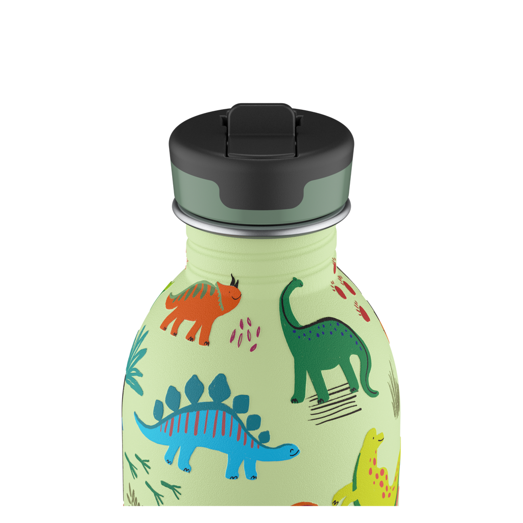 Kids Bottle | Jurassic Friends - 250 ml