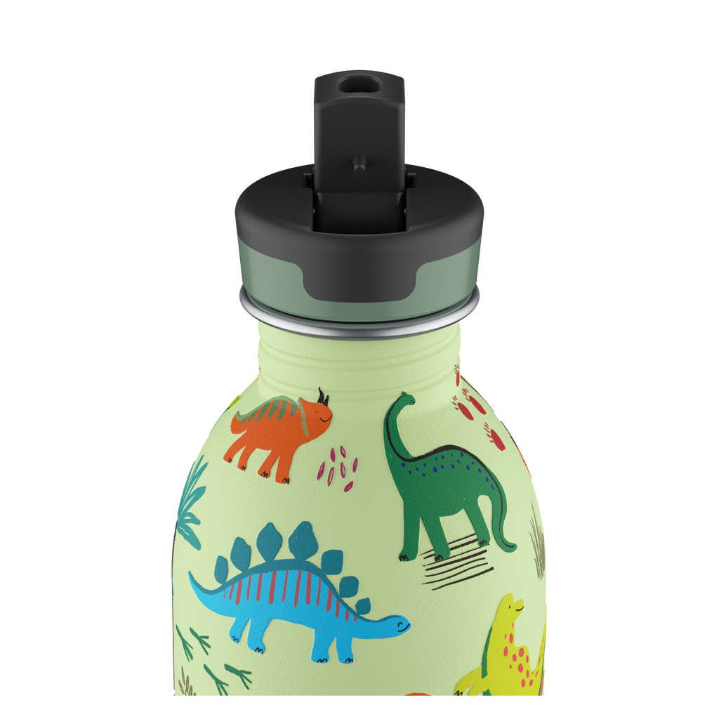 Kids Bottle | Jurassic Friends - 250 ml