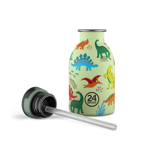 Kids Bottle | Jurassic Friends - 250 ml