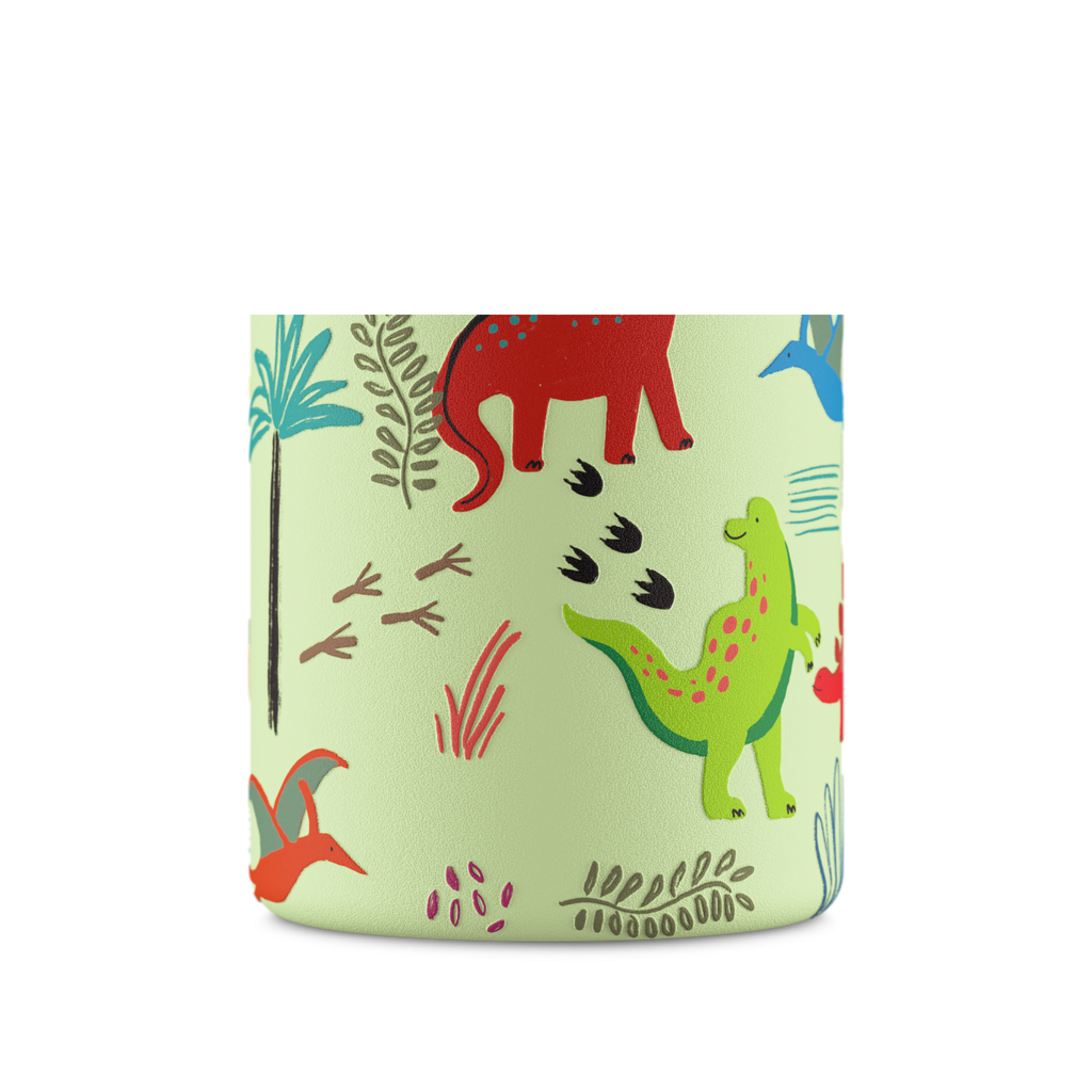 Kids Bottle | Jurassic Friends - 250 ml