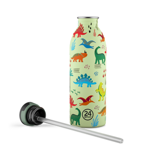 Kids Bottle | Jurassic Friends - 500 ml